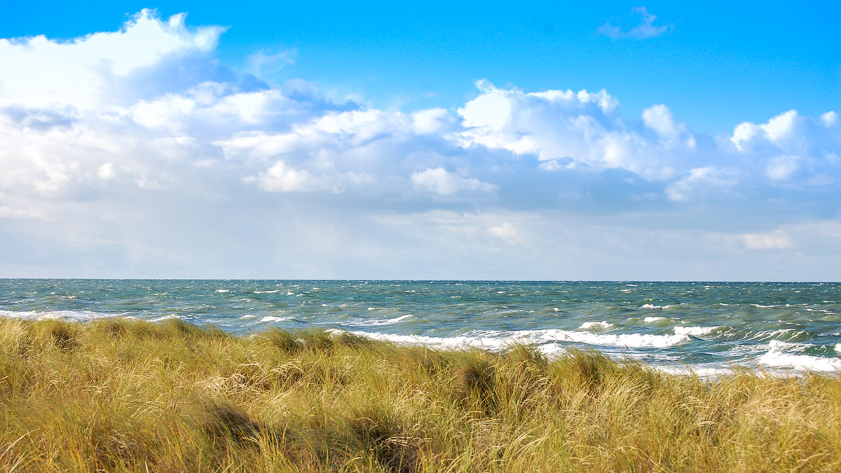 Dünengrass und Wellen am Ostseestrand